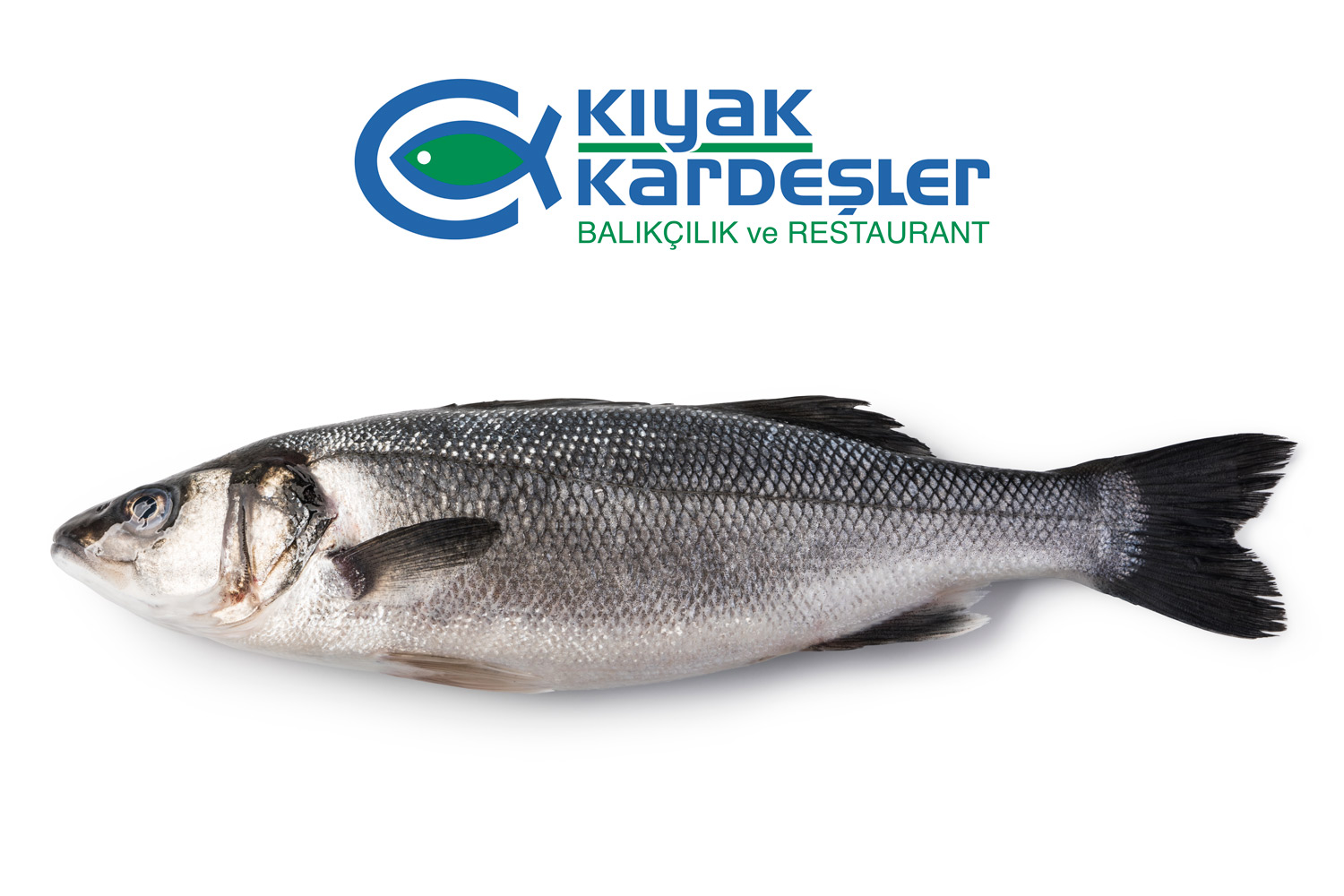 https://www.kiyakkardesler.com/image/1712482408-970458274.jpeg